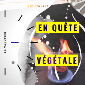 VISUEL EN QUETE VEGETALE BRULOT